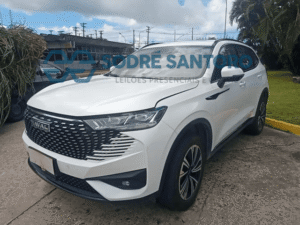 HAVAL H6 PHEV19 2024/2025
